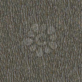 Dark Wooden Bark. Seamless Texture. Tileable Pattern
