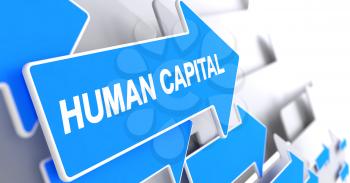 Human Capital, Label on Blue Arrow. Human Capital - Blue Arrow with a Message Indicates the Direction of Movement. 3D Render.