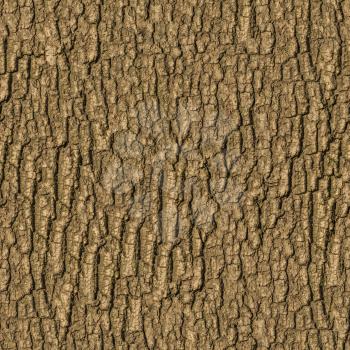 Brown Wooden Bark. Seamless Texture. Tileable Pattern. Tessellated Pattern