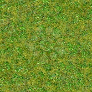Green Grass with Succulents. Seamless Texture Tileable Pattern