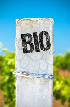 Ecological Concept. Bio - The Word on Colored White Fence.