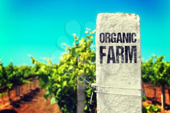 Eco Concept. Organic Farm - The Drawed Inscription on the White Fence.