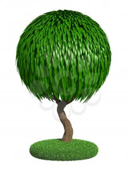 Decorative Tree with Spherical Glossy Krone Isolated on White Background.