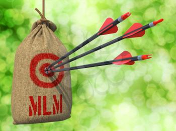 MLM - Three Arrows Hit in Red Target on a Hanging Sack on Natural Bokeh Background.