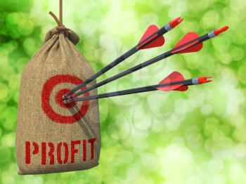 Profit - Three Arrows Hit in Red Target on a Hanging Sack on Green Bokeh Background.