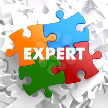 Expert on Multicolor Puzzle on White Background.