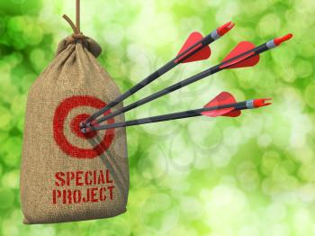 Special Project - Three Arrows Hit in Red Target on a Hanging Sack on Green Bokeh Background.