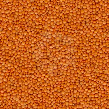 Orange Lentils Close Up - Seamless Tileable Texture.
