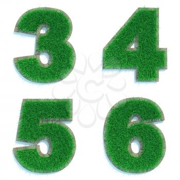 Digits 3, 4, 5, 6 - Set of Green Lawn on White Background in 3d.
