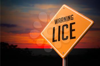 Lice on Warning Road Sign on Sunset Sky Background.