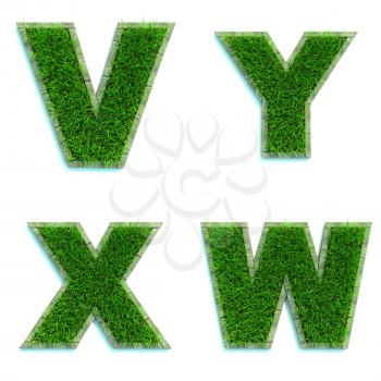 Letters V, Y, X, W - Alphabet Set of Green Grass Lawn on White Background in 3d.