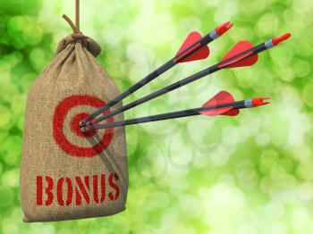 Bonus - Three Arrows Hit in Red Target on a Hanging Sack on Natural Bokeh Background.