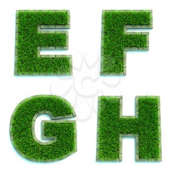 Letters E, F, G, H - Alphabet Set of Green Grass Lawn on White Background in 3d.