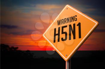 H5N1 on Warning Road Sign on Sunset Sky Background.