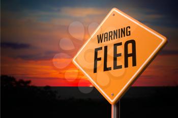 Flea on Warning Road Sign on Sunset Sky Background.