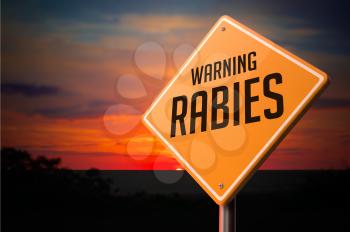 Rabies on Warning Road Sign on Sunset Sky Background.