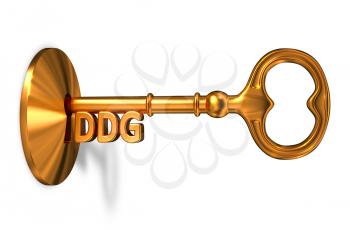 DDG - Golden Key is Inserted into the Keyhole Isolated on White Background