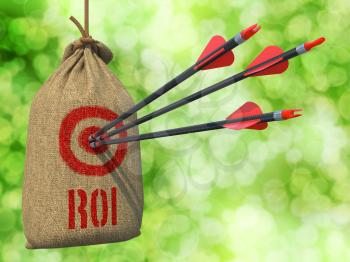 ROI - Three Arrows Hit in Red Target on a Hanging Sack on Natural Bokeh Background.