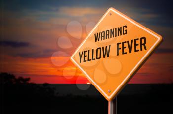 Yellow Fever on Warning Road Sign on Sunset Sky Background.