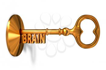 Brain - Golden Key is Inserted into the Keyhole Isolated on White Background