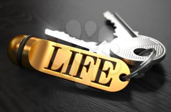 Keys and Golden Keyring with the Word Life over Black Wooden Table with Blur Effect.