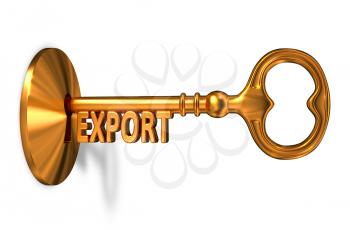 Export - Golden Key is Inserted into the Keyhole Isolated on White Background