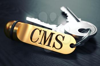 Keys and Golden Keyring with the Word CMS - Content Management System - over Black Wooden Table with Blur Effect. Toned Image.