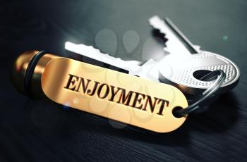 Keys and Golden Keyring with the Word Enjoyment over Black Wooden Table with Blur Effect. Toned Image.