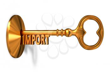 Import  - Golden Key is Inserted into the Keyhole Isolated on White Background