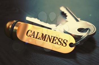 Calmness Concept. Keys with Golden Keyring on Black Wooden Table. Closeup View, Selective Focus, 3D Render. Toned Image.