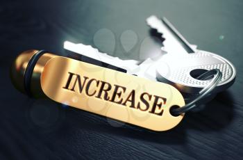 Keys with Word Increase on Golden Label over Black Wooden Background. Closeup View, Selective Focus, 3D Render. Toned Image.