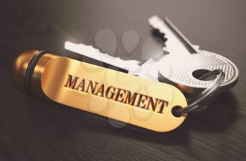 Management Concept. Keys with Golden Keyring on Black Wooden Table. Closeup View, Selective Focus, 3D Render. Toned Image.