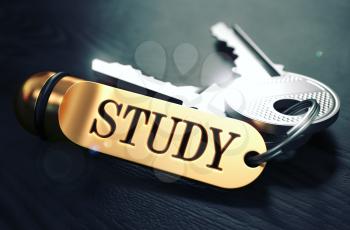 Keys with Word Study on Golden Label over Black Wooden Background. Closeup View, Selective Focus, 3D Render. Toned Image.
