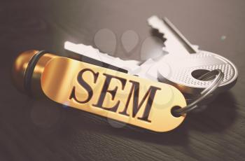 Keys and Golden Keyring with the Word SEM - Search Engine Marketing - over Black Wooden Table with Blur Effect. Toned Image.