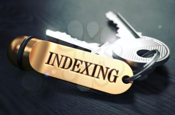 Indexing - Bunch of Keys with Text on Golden Keychain. Black Wooden Background. Closeup View with Selective Focus. 3D Illustration. Toned Image.