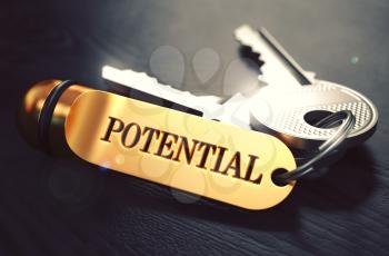 Potential - Bunch of Keys with Text on Golden Keychain. Black Wooden Background. Closeup View with Selective Focus. 3D Illustration. Toned Image.