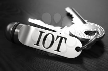 IOT- Internet of Things - Concept. Keys with Keyring on Black Wooden Table. Closeup View, Selective Focus, 3D Render. Black and White Image.
