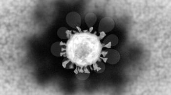 Realistic computer-generated micrograph showing a single coronavirus particle as seen under a transmission electron microscope.