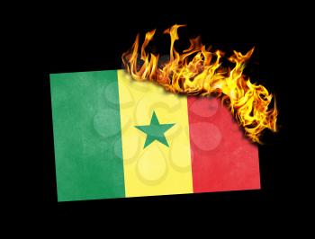 Flag burning - concept of war or crisis - Senegal