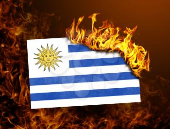 Flag burning - concept of war or crisis - Uruguay
