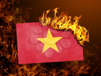 Flag burning - concept of war or crisis - Vietnam