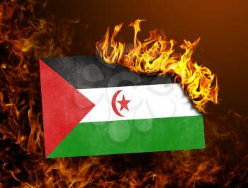 Flag burning - concept of war or crisis - Western Sahara