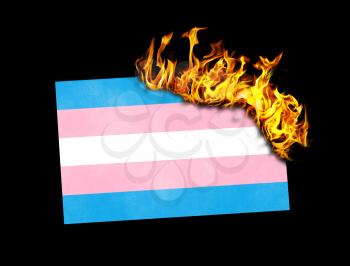 Flag burning - concept of war or crisis - Trans Pride
