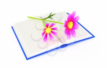 Wonderful flower cosmos on the exposed book