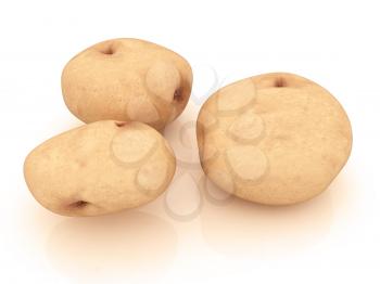 potato on a white background close up