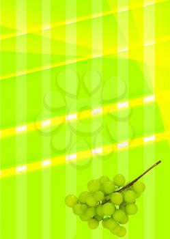background of colored bands with grapes