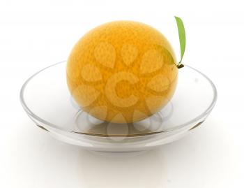 Citrus on a white background