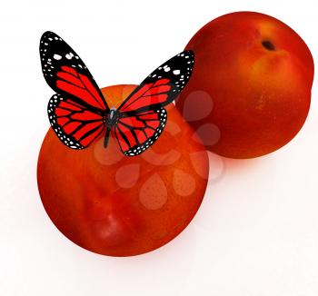 Red butterflys on a fresh peaches on a white background 