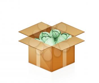 Green cabbage in cardboard box on a white background