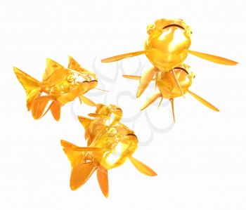 Gold fishes. Isolation on a white background